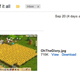 Image for article titled Yes, Some of Us Here Are Obsessed With FarmVille 2